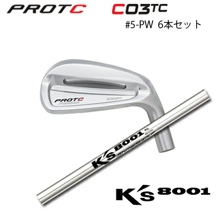 乐天商城 - PROTOCONCEPT(プロトコンセプト) C03TC FORGED IRON #5-PW(6本セット) + K's-8001【カスタムオーダー】