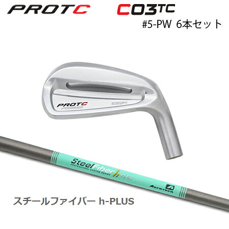 樂天商城 - PROTOCONCEPT(プロトコンセプト) C03TC FORGED IRON #5-PW(6本セット) + SteelFiber h-PLUS【カスタムオーダー】