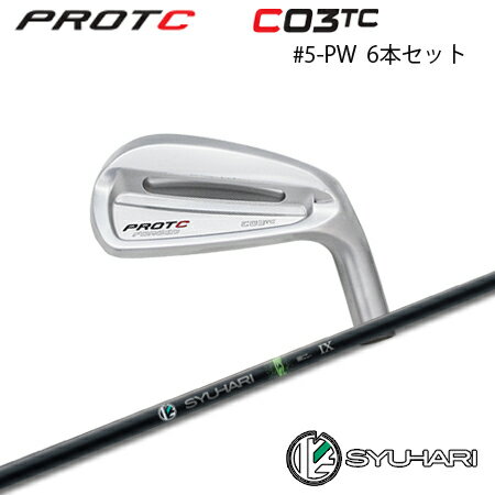 Rakuten - PROTOCONCEPT(プロトコンセプト) C03TC Forged Iron アイアン #5-PW(6本セット) + SYUHARI【カスタムオーダー】