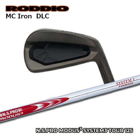 樂天商城 - RODDIO(ロッディオ) MC Iron DLC + N.S.PRO MODUS3 SYSTEM3 TOUR 125【カスタムオーダー】