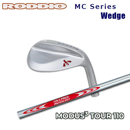 Roddio MC å + NSPRO MODUS3 110ڥ४