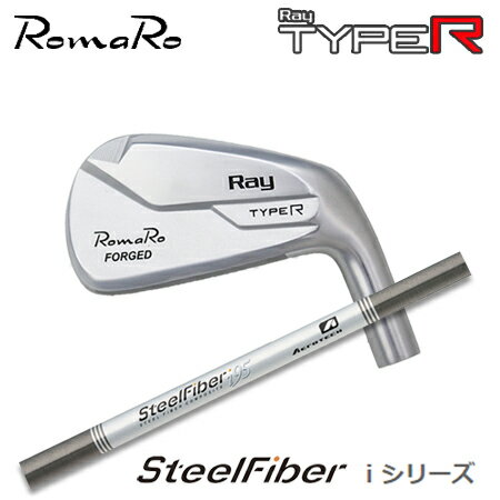 ロマロ Ray TYPE R IRON + SteelFiber i テーパーシャフト (6本セット) 【カスタムオーダー】