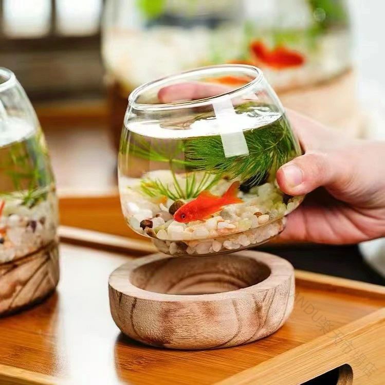 ワンブレーン 楽天市場店の【ポイント 10 倍】金魚 鉢 おしゃれ インテリア 創作 卓上 金魚鉢 ガラス 小型 ミニ水槽 オールインワン水槽セット 透明 容器 小シンク 観賞植物ホルダー 水耕植物花瓶 室内 花瓶 メダカ 飼育鉢 メダカ鉢 小さな 水槽｜アングル2