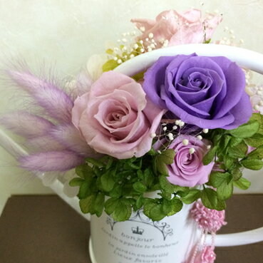 ������̵���ۥ��硼�� �ݥå� �Х� �ץꥶ���֥ɥե� �ץꥶ