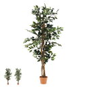 【送料無料】観葉植物 フェイクグリーン グリーン 造花 植木 緑 インテリアガーデン インテリア 玄関 エントランス キッチン リビング 室内ガーデン ギフト ...