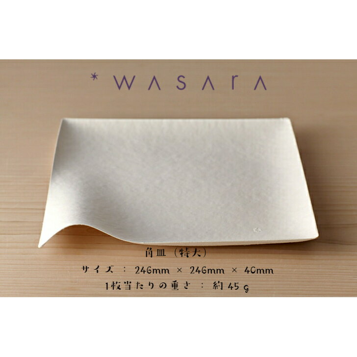 WASARA （ワサラ）「 角皿（特大）6枚入」竹 バガス 紙皿 持続可能 SDGs eco 環境にやさしい アウトドア キャンプ おしゃれ デザイン eco おもてなし パーティー BBQ 取り皿 ギフト