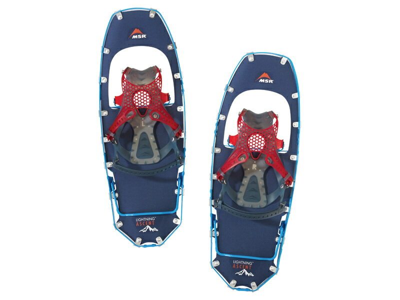 MSR�ʥ��२��������ˡ֥饤�ȥ˥� ���å���� 22������������� ������ ���Х�ȥ֥롼 �饺�٥꡼ �����ȥɥ� �л� �㻳 ���Ρ��ȥ�å��� �Хå�����ȥ꡼ ���Ρ����塼 4515785400021