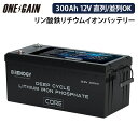 RENOGY ヒート機能付き Core LTシリーズ 300AH 12.8V リン酸鉄リチウムイオンバッテリー 直列接続/並列接続可能 レノジー RBT1230...