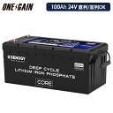 RENOGY 100AH 24V リン酸鉄リチウムイオンバッテリー ヒート機能付き CORE LT シリーズ直列接続可能 並列接続 レノジー RBT24100L...