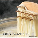 内祝い ギフト 送料無料 六義庵 稲庭うどん100g×6袋 化粧箱なし 麺 乾麺 稲庭うどん 細うどん うどん セット 粉 フード おすすめ グルメ食品 うどん ポイント消化 ポッキリ お試し 人気 ポスト投函 お取り寄せ のし対応