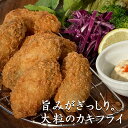 ギフト 大容量 広島県 地御前産の冷凍 カキフライ 20個入り 大粒 衣 冷凍 食品 贈答品 手土産