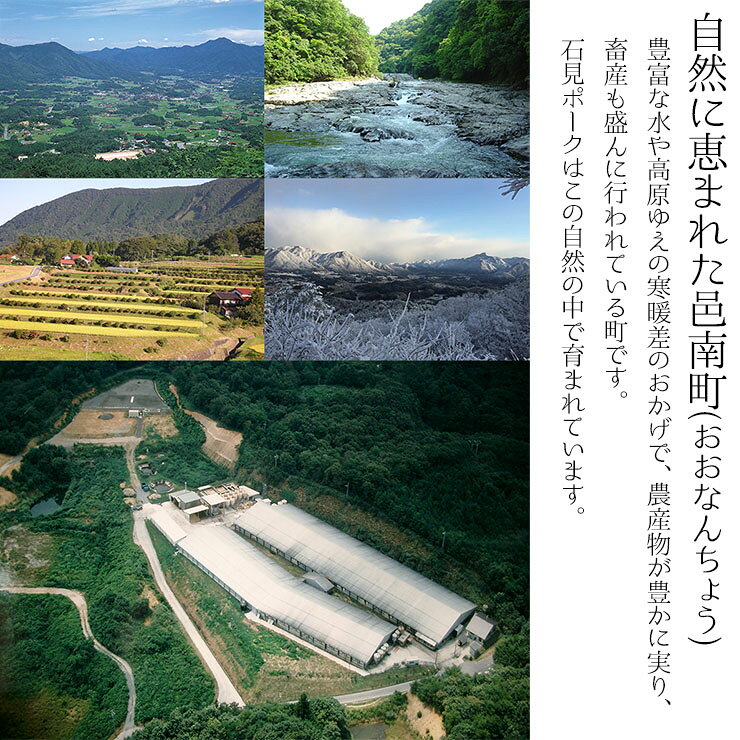 せとうちユカリーギフトの産直 島根県 邑南町 石見ポーク ケンボロー豚使用 ソーセージ3種 コロッケ 生ハム 惣菜 セット 合計830g (120g＋120g＋140g＋350g＋100g) 豚肉 地下水 活性水 産地直送 プレゼント 贈答 冷凍 クール 送料無料｜アングル2