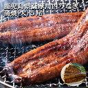 ギフト スタミナ うなぎ 国産 送料無料 薩摩川内鰻蒲焼 (大) 無頭5尾 セット 冷凍発送 鰻 ウナギ 鹿児島 手土産