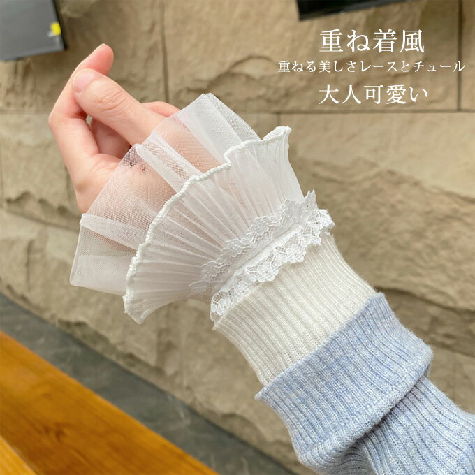 դµ Ĥµ  ǥ ޯ ե꡼ Ĥµ ꡼ ǥեå     襤 ...