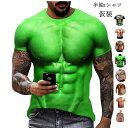 tシャツ 半袖 コスプレ 仮装 コスプレ 筋肉服 マッチョ 偽筋肉 偽腹筋 グラマー男性 仮装 イケメン筋肉 ハロウィン おもしろ お祭り 新年会 忘年会 宴会 夏物 送料無料