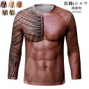 tシャツ 長袖 メンズ コスプレ 仮装 コスプレ 筋肉服 マッチョ 偽筋肉 偽腹筋 グラマー男性 仮装 イケメン筋肉 ハロウィン おもしろ お祭り 新年会 忘年会 宴会 送料無料