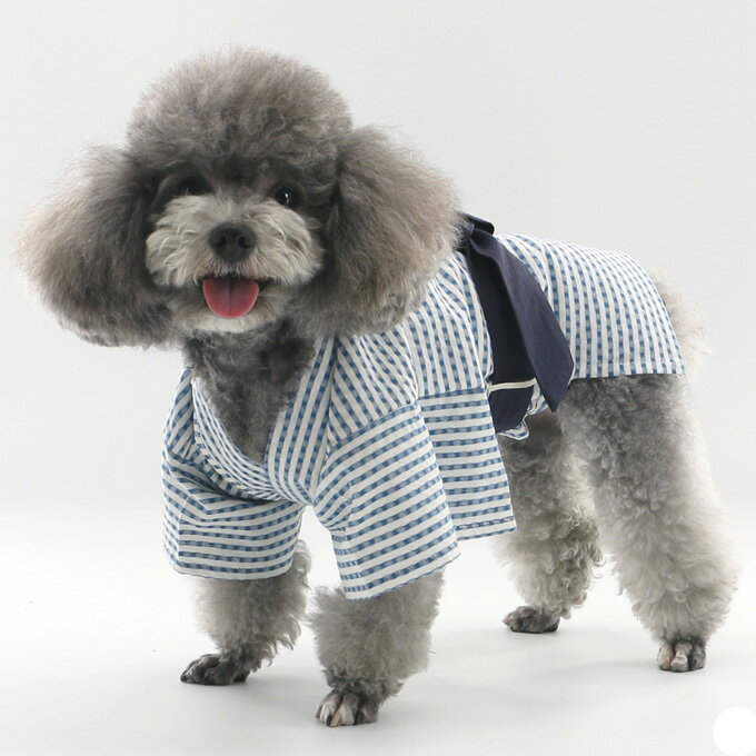 ������ ǭ�� ��� ���� ���פ� �ɥå��� ��������� �ڥåȥ��å� �Ĥʤ� ��������� �ڥå����� �ڥå����� ���� ���פ� �淿���� ���гݤ��������� ��ñ��æ �ֲ���� ���� ��ǰ���� �ղƽ��� ����̵��