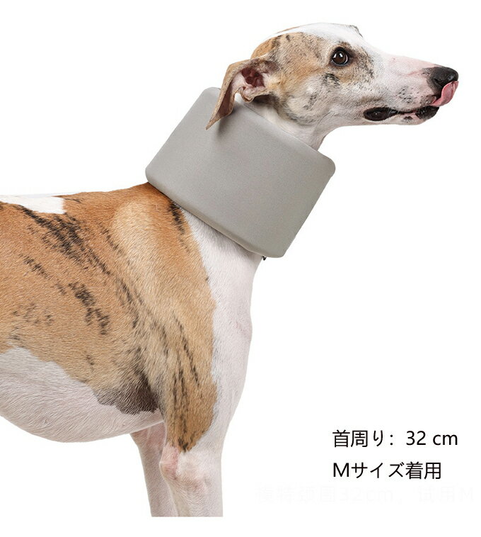 サンプル画像3