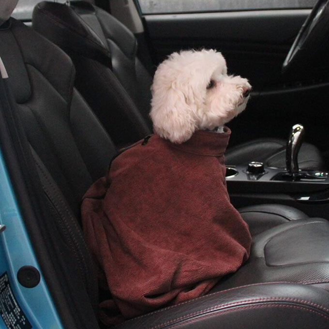 ���� �ڥå��� �� �� ǭ�� �ڥå����� �ڥåȻ��� ������ �淿�� �緿�� ������ ���� �İ��� �ե����ʡ��դ� �ѥ��� ������� ����̵��