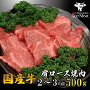 国産牛 肩ロース 焼肉 BBQ 2〜3人 500g 送料無料 牛肉 鉄板焼き バーベキュー メガ盛り 贈答 贈り物 プレゼント 家庭用 御歳暮 御中元 内祝 父...