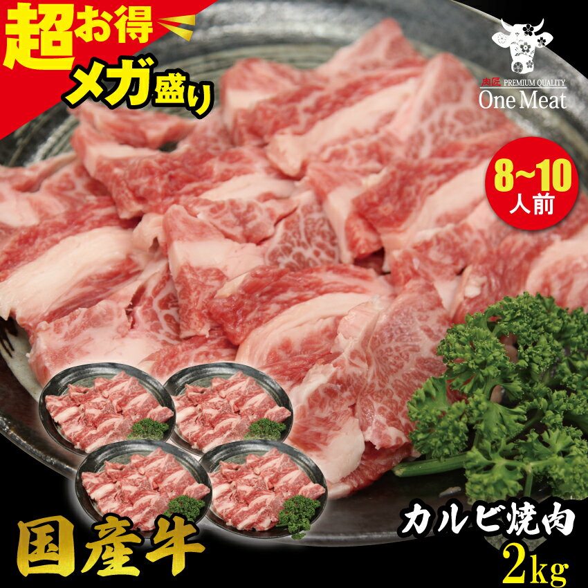 K Y Jr ē BBQ 8~10l 2kg (500g*4pbN) o[xL[ H  e Mtg 蕨 v[g Ε  j  ̓ 