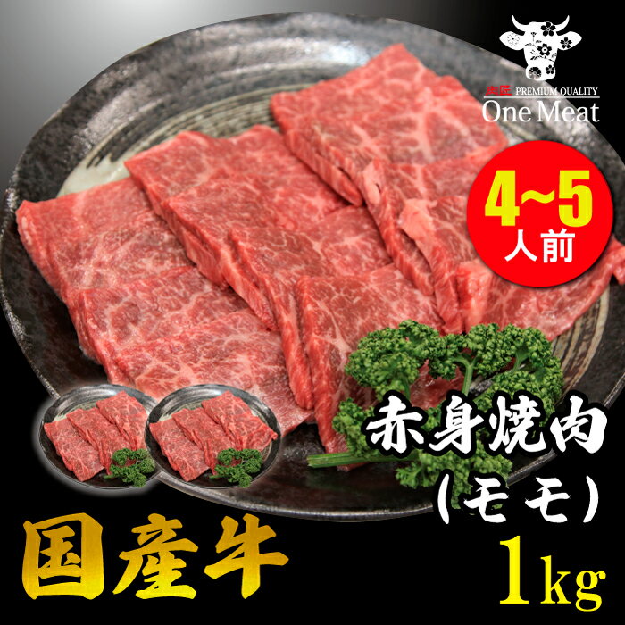 吷 Y Ԑg  ē BBQ 4~5l 1kg (500g*2pbN) o[xL[ H 吷  e Mtg 蕨 v[g Ε  j  ̓ 