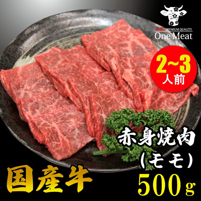 _Mtgɂ^ Y Ԑg  ē BBQ 2~3l 500g o[xL[ H  Mtg 蕨 v[g Ε 䒆 j  ̓ 