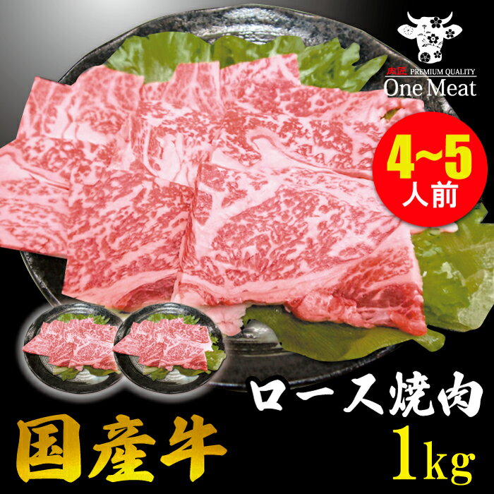 Y [X ē BBQ 4~5l 1kg (500g*2pbN) BBQ H 吷  e Mtg 蕨 v[g Ε  j  ̓ 