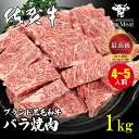 ＼ギフトにも／ 佐賀牛 A4 A5ランク 黒毛和牛 バラ 焼肉 BBQ 4～5人 1kg 250g 4 カルビ ブランド牛 バーベキュー 食材 贈り物 プレゼント 御歳暮 御中元 父の日 母の日 敬老の日 内祝 ギフト …