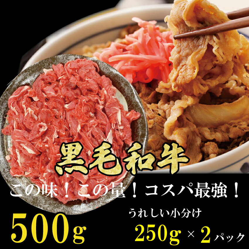 黒毛和牛 切り落とし 500g (250g×2パック) 厳選 国産 和牛 肉 牛肉 小分け 使い切り 冷凍 こま切れ 送料無料 贈り物 父の日 プレゼント ギフト 御中元 御歳暮 肉じゃが 牛丼 焼肉 カレー シチュー 炒め物 家庭料理 普段使い