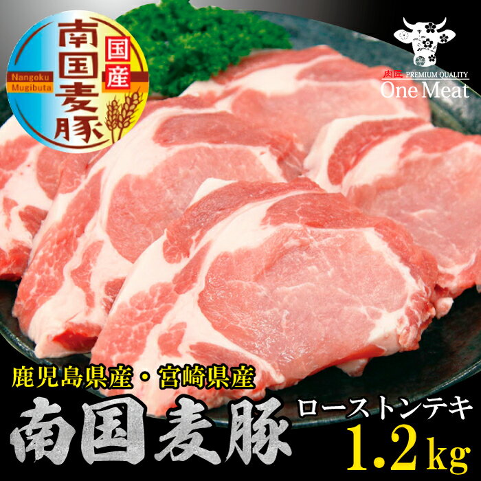 Yؓ 썑 [XgeL 1.2kg (120g*10) Y {Y Xe[L Mtg 蕨 v[g Ε