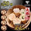 大粒 40g しゅうまい 焼売 セット 20個 (5種×各4個) 詰め合わせ 800g 中華 天心 冷凍 おつまみ おかず お弁当 家庭用 贈り物 プレゼント ...