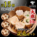大粒 40g しゅうまい 焼売 セット 15個 (5種×各3個) 詰め合わせ 600g 中華 天心 冷凍 おつまみ おかず お弁当 家庭用 贈り物 プレゼント ...