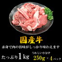 ＼当店大人気／国産牛 すじ肉 1kg（250g×4パック）牛スジ 小分け 贈り物 プレゼント 煮込み すじこんにゃく おでん カレー 食べごたえ抜群 3