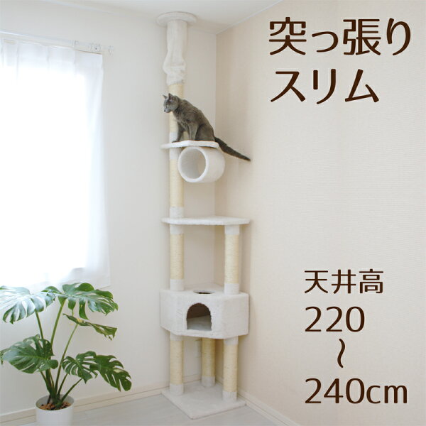 キャットタワー突っ張り型CT-A2307天井の低いお部屋に