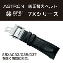 アストロン ASTRON 7Xシリーズ 純正替えベルト かん幅24mm 標準200mmタイプ ブラックベルト シルバー尾錠 R7X01AC