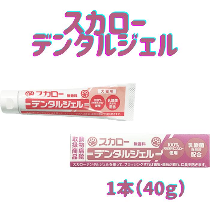 関連商品はこちらvetsLabo メディボール 犬用 ささみ味 1...七面鳥すじこさん 20g 犬用 猫用 おやつ...ニュートライプ NUTRIPE ナチュラル エ...MediSuppli メディサプリ 犬用 ガラクト...