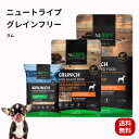 犬用 ドッグフード (ドライ) ラムwithグリーントライプ 無添加 グレインフリー 穀物不使用 犬用フード ニュートライプ 全年齢犬用 ドライフード 正規品 送料無料
