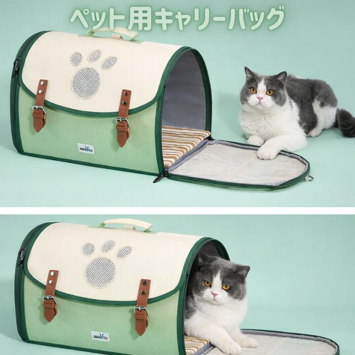 関連商品はこちらバースデーカード 猫 キャッツバースデ...バースデーカード 猫 バースデーハット...バースデーカード アニマル バースデー...バースデーカード 犬 ドギーバースデー ...