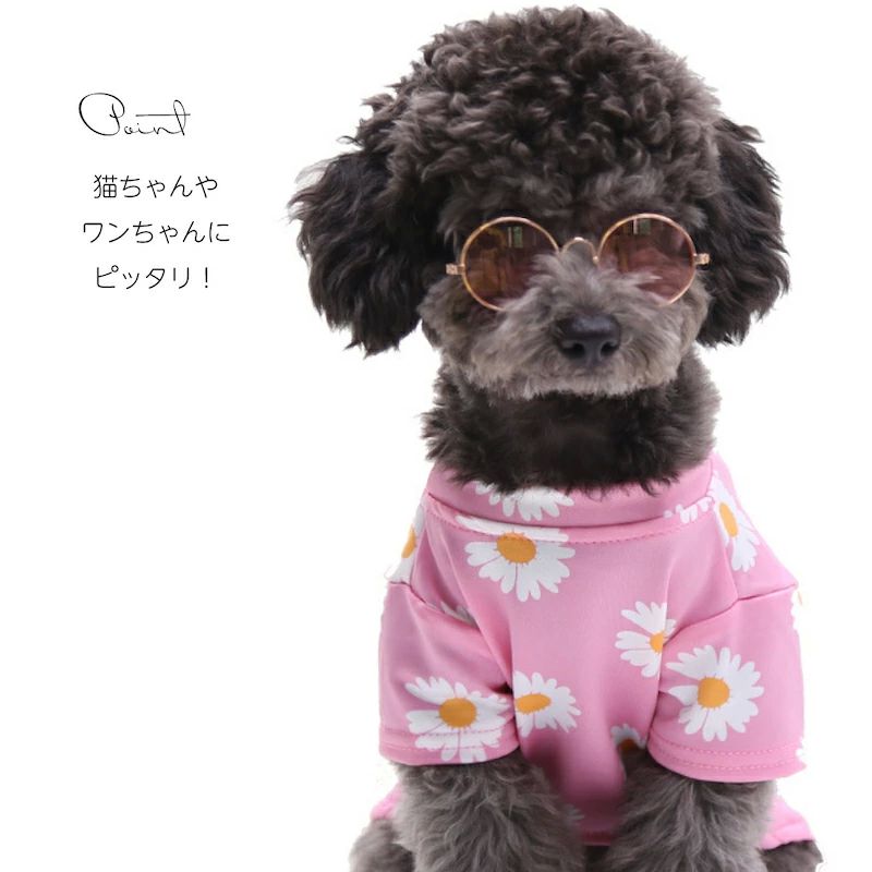 かっ かわいい おしゃれ キャット ドッグ 猫 犬 眼鏡 メガネ めがね ペットグッズ ...