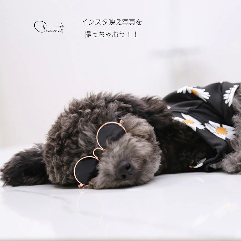 かっ かわいい おしゃれ キャット ドッグ 猫 犬 眼鏡 メガネ めがね ペットグッズ ...