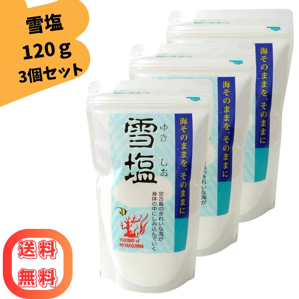 楽天市場】雪塩（総重量（g）300 ～ 399）（しお｜調味料）：食品の通販
