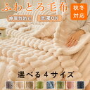 ★期間限定タイムセール★秋冬 ふわとろ もこもこ 毛布 ブランケット 掛け布団 とろとろ 毛布 シングル ダブル ハーフ ふわもこ ひざ 掛け毛布 暖かい 厚手...