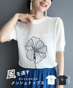 (S~M対応)風を通す オシャレな大人のメッシュトップス【定価7264円】