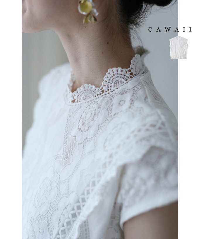 （S~L対応）優美に咲く花レースブラウストップスのサムネイル