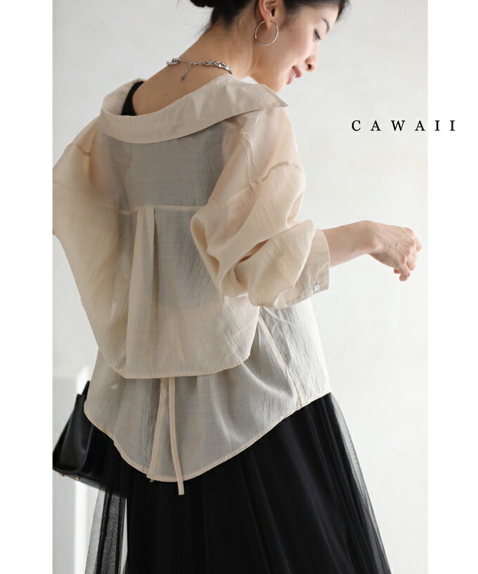 【再入荷♪7/28 20時】（S~L対応）バックスリットの艶めきシアーシャツトップスのサムネイル