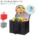 マチ広 クーラーボックス 折りたたみ クーラーバッグ 底板付き 保温 保冷 弁当 ランチバッグ 2個セット レジ袋 エコバッグ 大容量 レジカゴバッ
