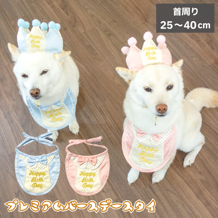 柴犬 犬 お祝い 誕生日 バースデー 前掛け よだれ掛け 【プレミアムバースデースタイ M 】 豆柴 中型犬 小型犬 犬用品 アクセサリー 首周り25～40cm