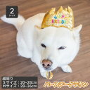 柴犬 犬 誕生日 帽子 お祝い かぶりもの 被り物 【バースデークラウン 】 豆柴 中型犬 小型犬 犬用品 顔回り28～38cm 参考体重4.5～18kg アクセサリー