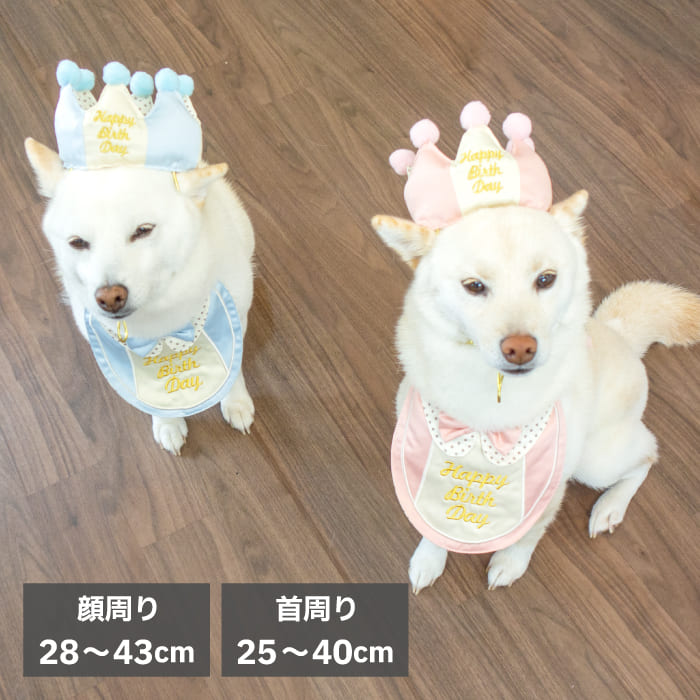 楽天柴犬の服屋さんONE歩柴犬 犬 誕生日 帽子 お祝い かぶりもの 被り物 【プレミアムバースデースタイ&クラウン】 豆柴 中型犬 小型犬 犬用品 顔回り28～43cm 首周り25～40cm アクセサリー